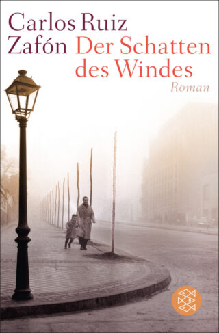 Der Schatten des Windes Book Cover