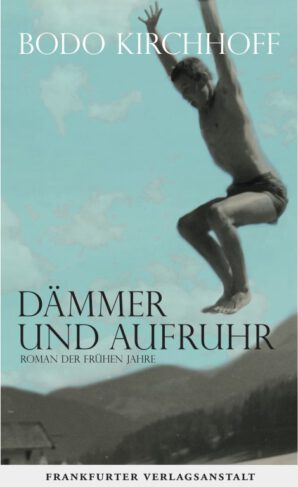 Dämmer und Aufruhr Book Cover